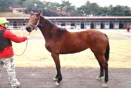 �������� ����