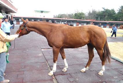 ��Ʈ�ǹ� ����