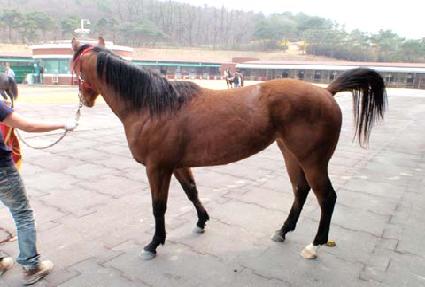 ��ǳ���� ����