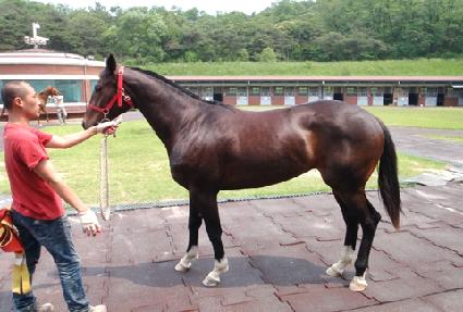 �ϴ�ǳ ����