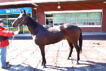 �Ÿ��� (SINMYEONGSAN) ����