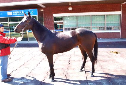 �Ÿ��� ����