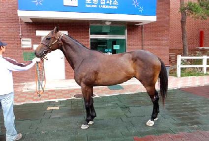 ���ġ�� ����