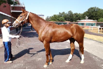 ����� ����