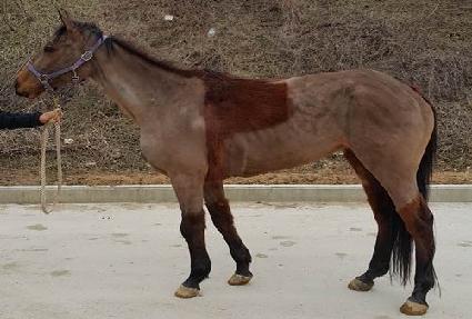 ������������ ����