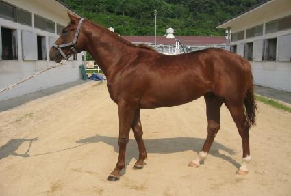 �������� ����