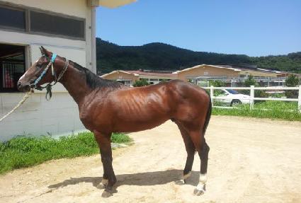 �����ǽ� ����