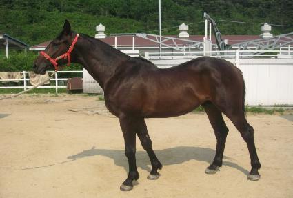 ��Űȣ�� ����