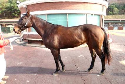 ��Ÿ ����