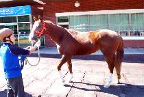 ������ (SAMGWON JANGAK) ����