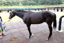 ���ͺ� (BIG TURBINE) ����