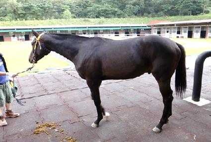 ���ͺ� ����