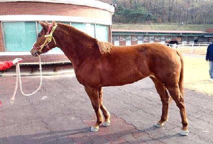 �ְ����� ����