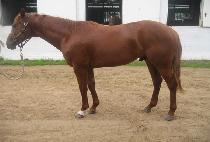 Ű�������� (KI JAGEUN NAMJA) ����