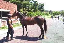 ���߷� (SUNBALLYEOK) ����