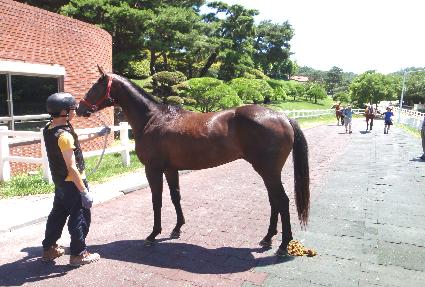 ���߷� ����