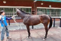 ���ر׷��� (DONGHAE GRAND) ����