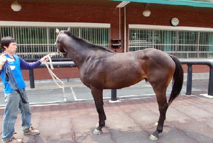 ���ر׷��� ����