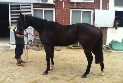 ���𼼿콺 ����