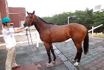 �̽���Ʈ���� (Mr. TRIPLE) ����