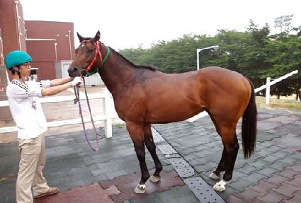 �̽���Ʈ���� ����