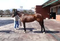 ����Żȯ (JEONGSANG TALHWAN) ����