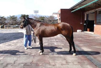 ����Żȯ ����