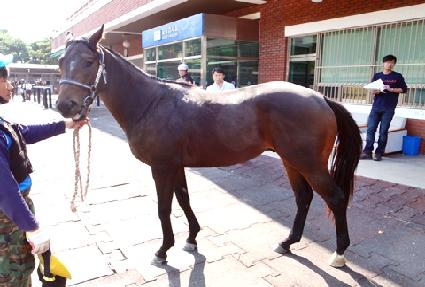 ������� ����