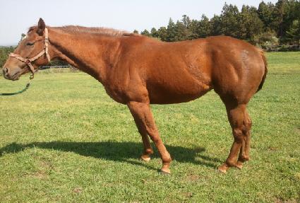 ���Ÿ�� ����