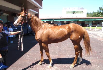 �ο����� ����