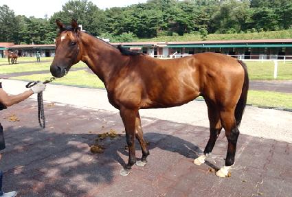 ���׸޽þ� ����