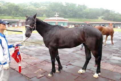 ����� ����