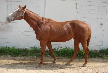 �������� ����