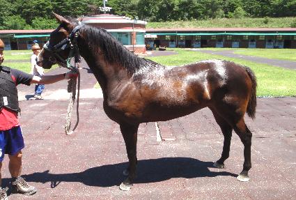 ���Ÿ�� ����