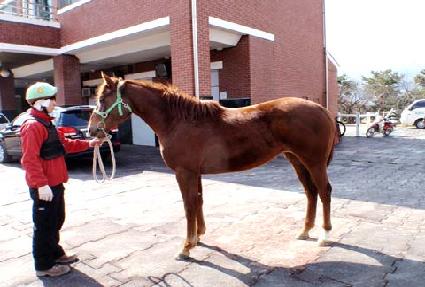 ��õ���� ����