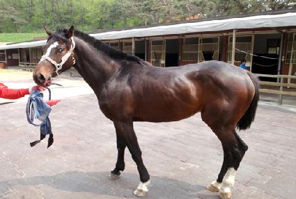 Ű��� ����