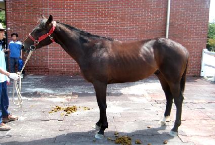 �ְ����� ����