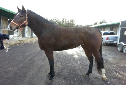 ���̸��� ����