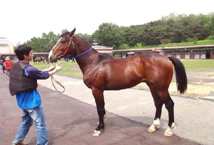 ��Ʈ�귯 ����