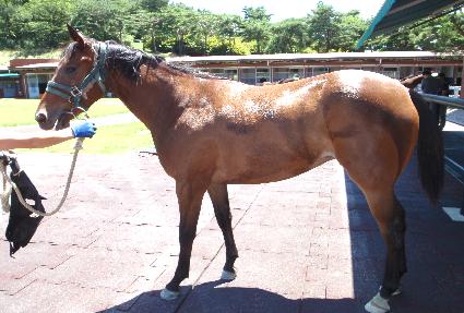 ���� ����