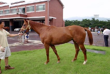 �ο����丮�� ����