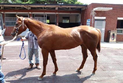 �ְ�ź�� ����