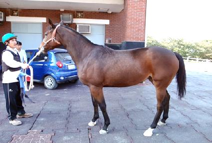 ������ ����