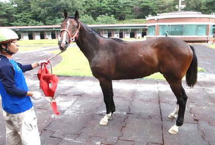 �ο����� ����