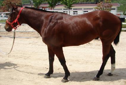 ������ ����