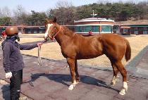 ��Ʈ���� (VICTRESS) ����