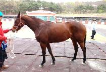 ��ä�� (SANGCHAEUM) ����