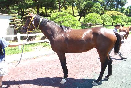 ������ģ�� ����