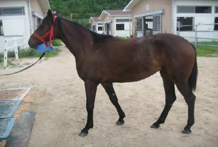 ������� ����