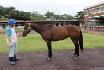 ����ġ (NEW TOUCH) ����